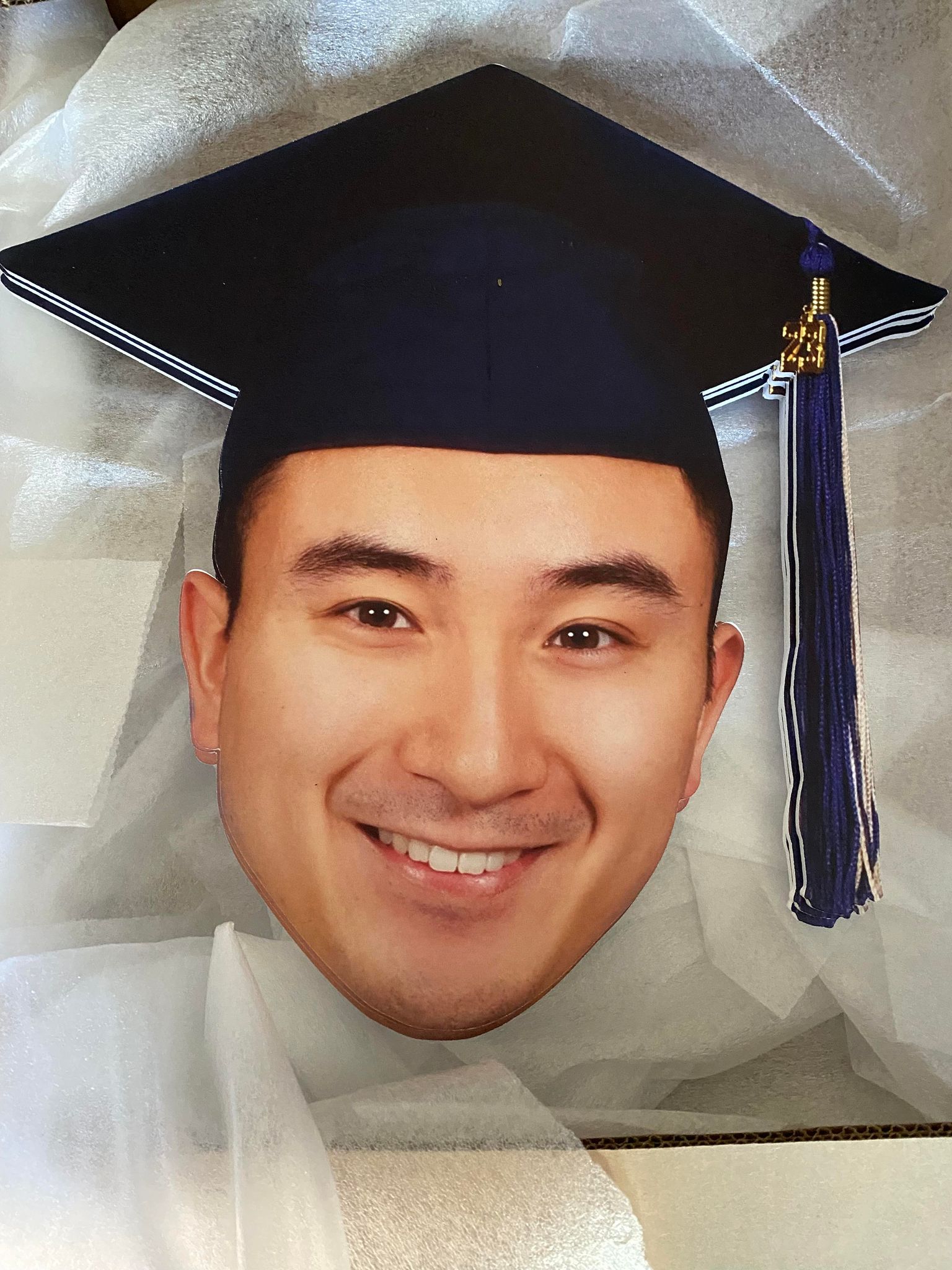 Fathead Custom Docs and Images